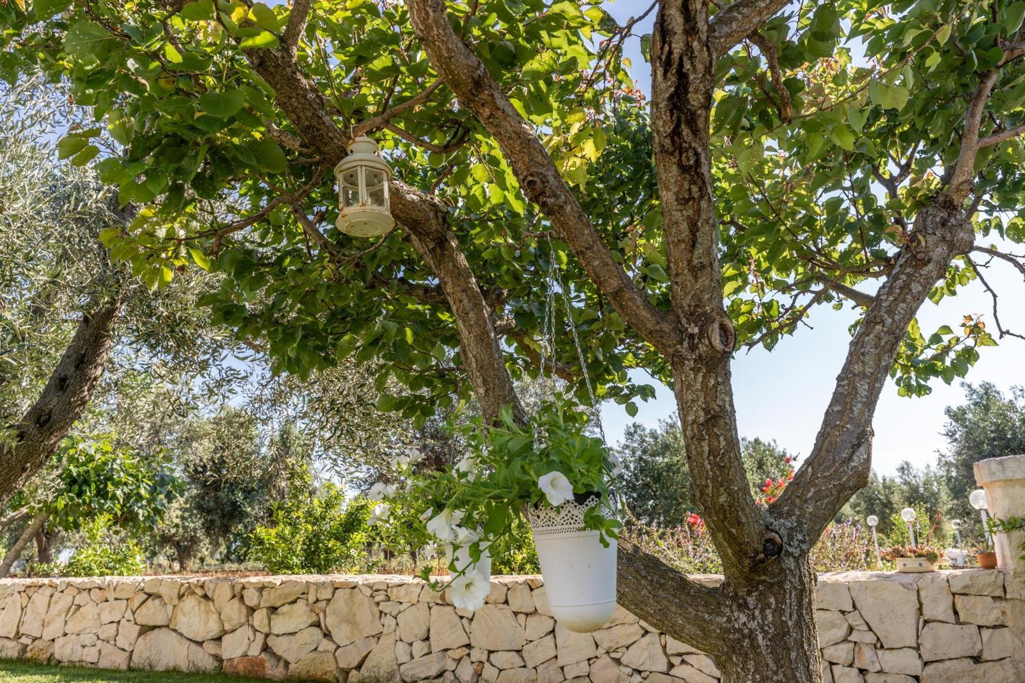 Trulli Morelli Ostuni Esterno foto